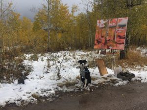 Hadley Rampton's trusty companion, Phoebe, poses next to "Teton Gold," painted in the Tetons.