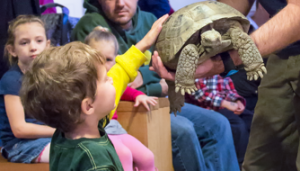 tortoise explore together high desert museum things to do in bend oregon