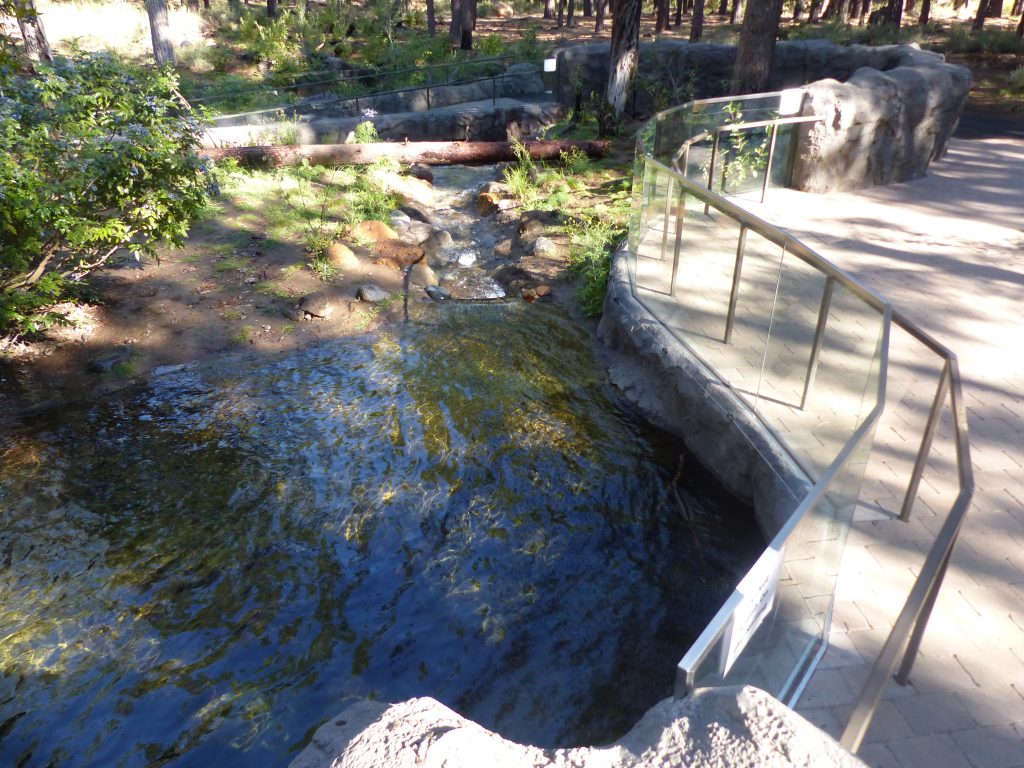 Autzen Otter Exhibit - High Desert Museum