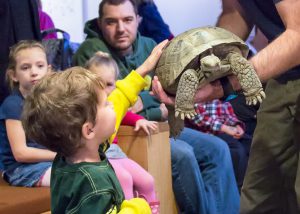 reptile encounter wildlife things to do in bend oregon