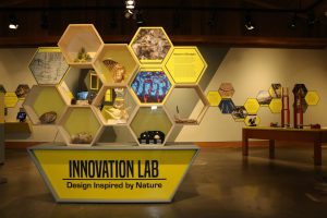 Innovation Lab exhibition