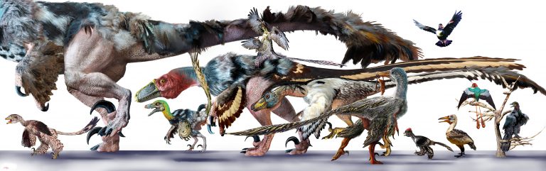 raptor dinosaur family