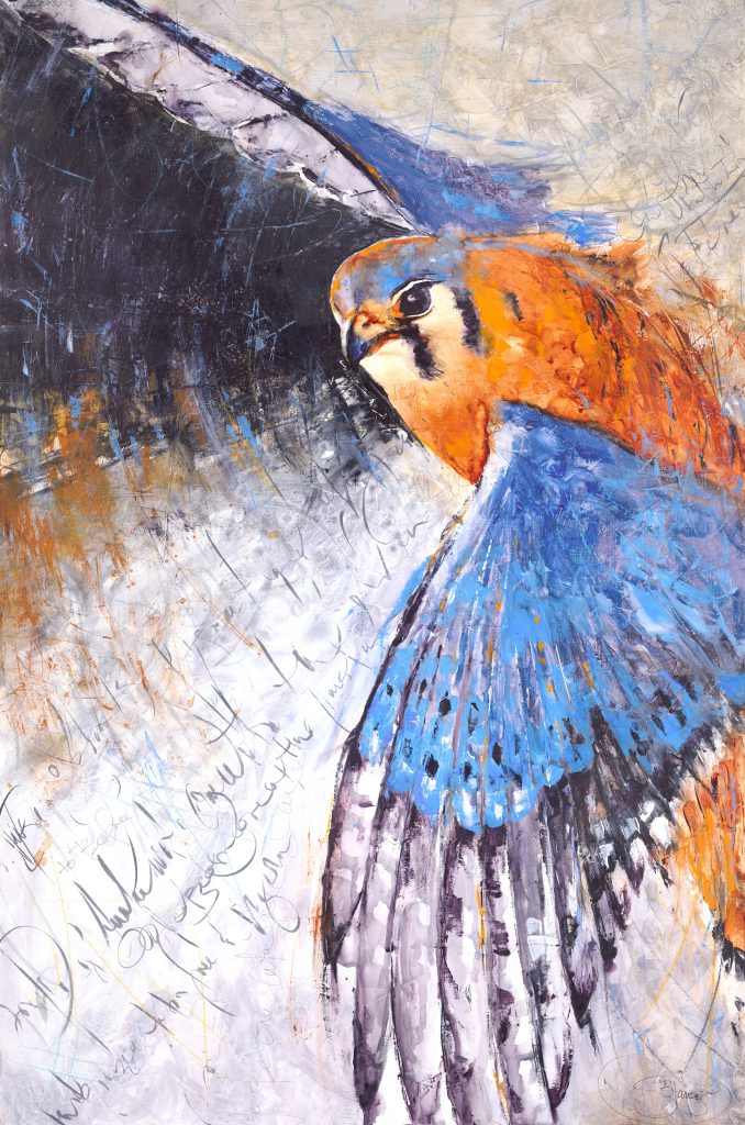 American Kestrel bird painting by Pacific Northwest artist Sarah B ...