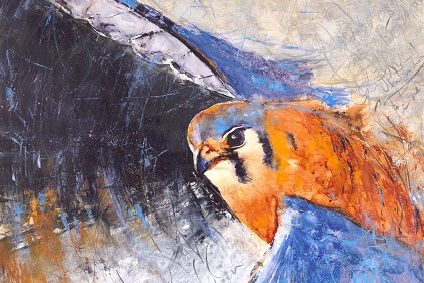 American Kestrel bird painting by Pacific Northwest artist Sarah B ...