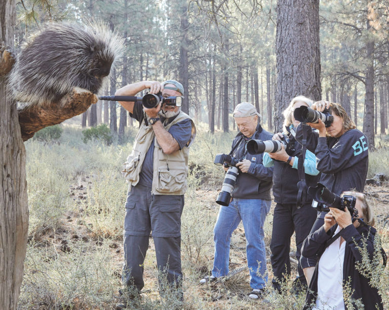 Wildlife Conservation Photography - High Desert Museum