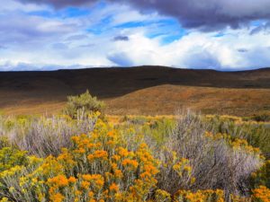 brown hillside and foreground is covered in blooming sage brush, bright orange and green and yellow, sky is bright blue with wispy clouds