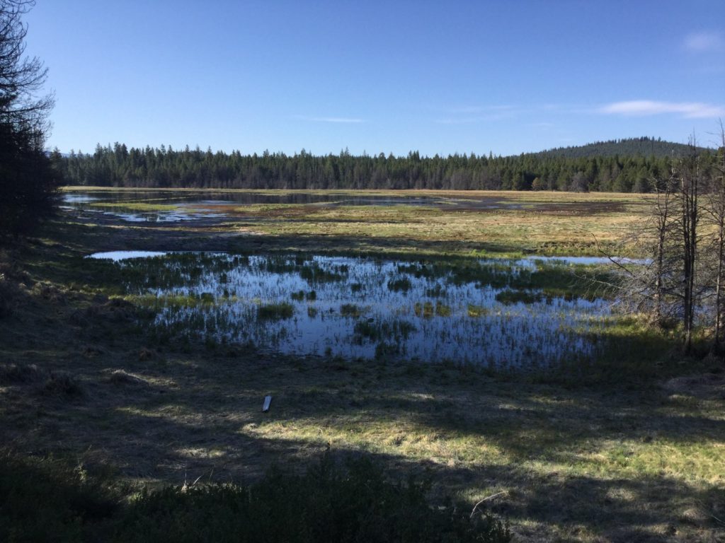 ryan ranch High Desert Museum