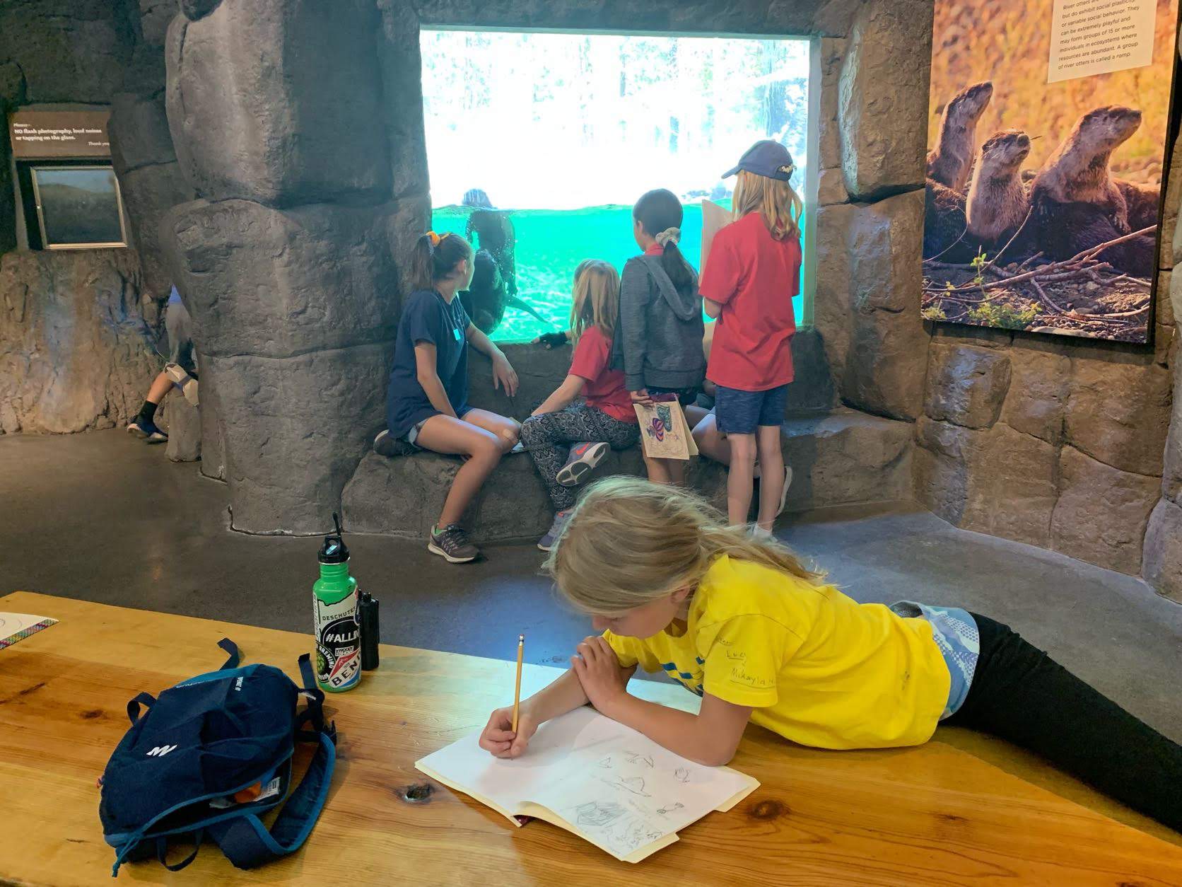 Kids Camp - otter exhibit - High Desert Museum