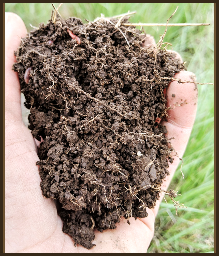 renewable resources soil