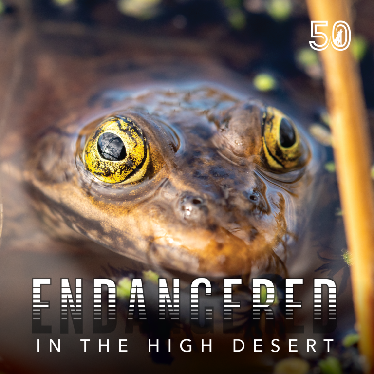 Endangered in the High Desert High Desert Museum