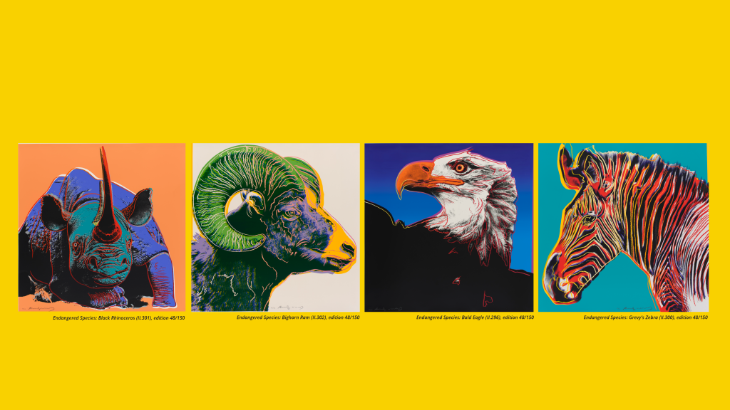 Andy Warhol's Endangered Species December 9, 2023 - April 7, 2024