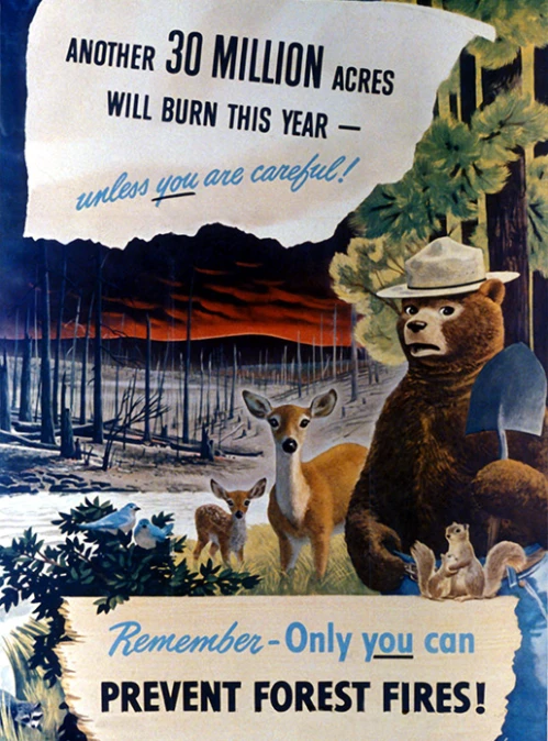 Smokey The Bear