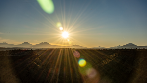 Waterston Desert Writing Prize