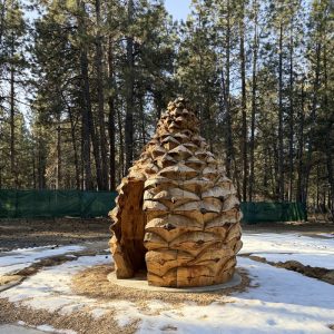 Ponderosa Playscape