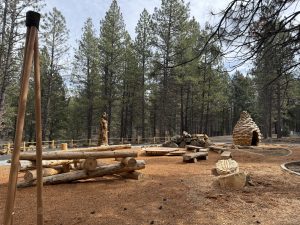 Ponderosa Playscape