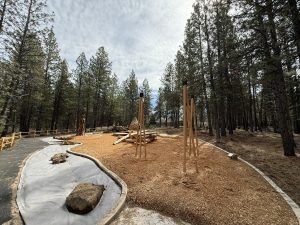 Ponderosa Playscape