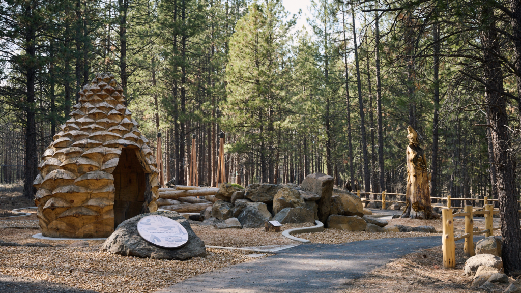 E. L. Wiegand Ponderosa Playscape