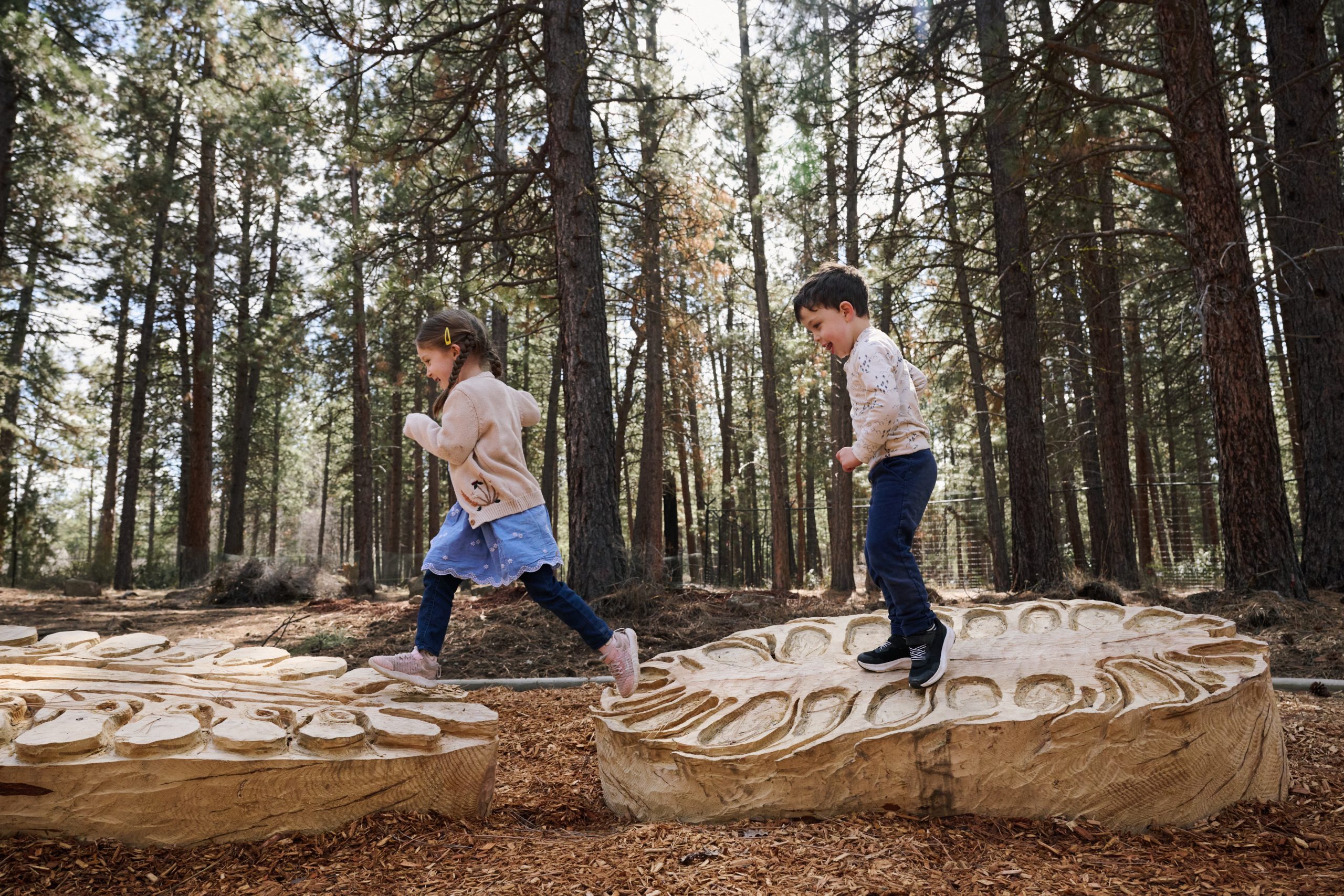 High Desert Museum Ponderosa Playscape.