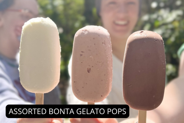 Gelato Pops Gelato Pops