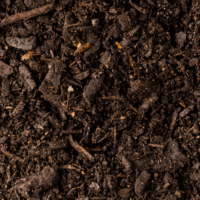 HealthySoil NHP Nov2025 HealthySoil NHP Nov2025