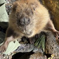 IMG_0470 IMG_0470