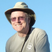 William Ripple Chiles Award
