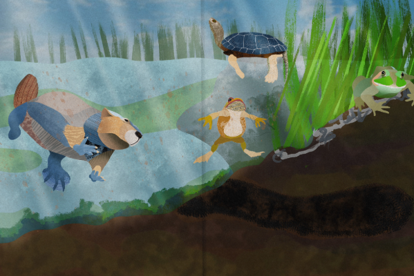 Soil Alive exhibit