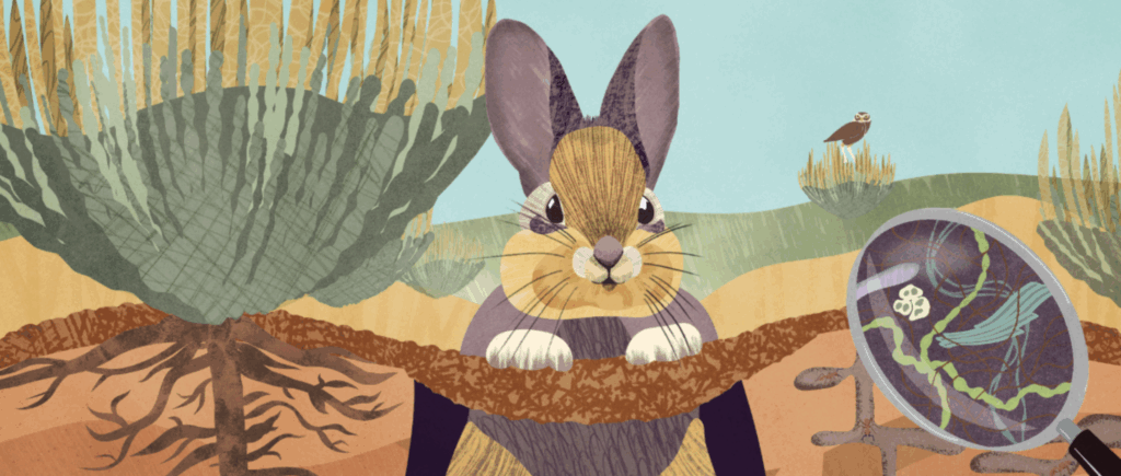 Soil Alive! October 18, 2025 - March 29, 2026