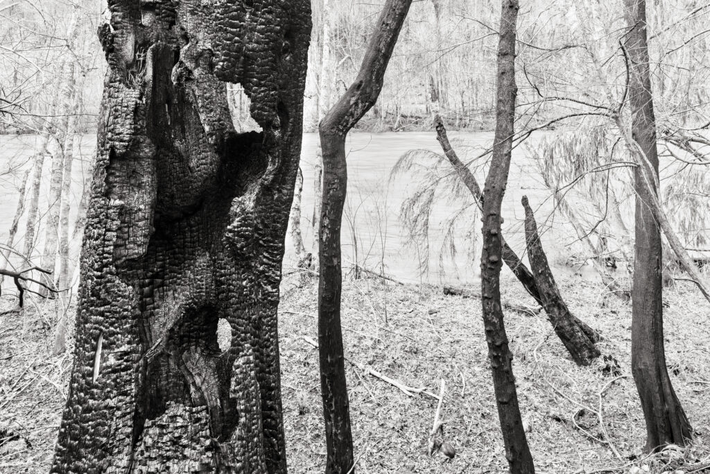 Standing Still #11 by David Paul Bayles