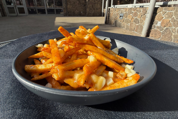 picture of fries dressed in sauce like poutine